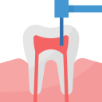tooth tooth